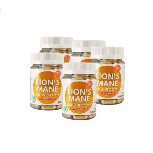 Lion's Mane Mushroom - 5 Pack